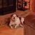 Alan Ingle's profile image
