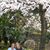 Shirley DeVries's profile image