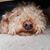 Patti Cockerham's profile image