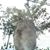 Vall 'bobbie' Stokes's profile image