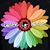 Sue Ulry's profile image