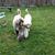 Wendy Cermak's profile image