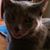 Anne Cagle's profile image