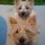 Harold N Maude's profile image