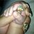 Nanny Montanez's profile image