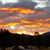 Deborah J Cayer's profile image