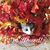 Marge Ottaway Metz's profile image