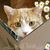 Mary Alexander Timothy's profile image