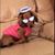 Teresa Milstead's profile image