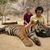 Laura L. Post's profile image