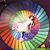 Anna Molly Gonzalez's profile image
