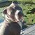 Heidi Wood's profile image