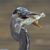 Brian Howe's profile image