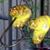 Sarah Andreasen Moser's profile image