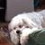 Donald Sussey's profile image
