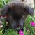 Sharon Ayers's profile image