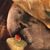 Marilyn Lena James's profile image