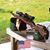 Russel Javier's profile image