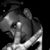 Thomas H P Jerusalem's profile image