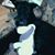 Pat Connelly's profile image