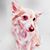 Jennifer Diello's profile image