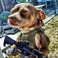 Danny Lawson's profile image