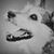 Jessie Dans's profile image
