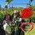 Donna Dovel-Hayward's profile image