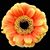 Cathy Bruno's profile image