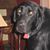 Jayne Seal's profile image