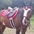 Carrie Remsen's profile image