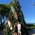 Richard C Scheideman's profile image