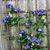 Donna M Stuart's profile image