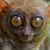 Bill Stellmach's profile image