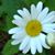 Karen Lindsay's profile image