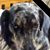 Nancy Pavlak's profile image