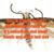 Mike Atkins's profile image