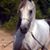 Marcie Fredricks's profile image