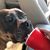 Lori Marquard Benner's profile image