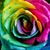 Peggy Horspool Keele's profile image