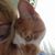 Terri Downey's profile image