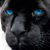 Greg Kinney's profile image