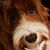 Debby Wells's profile image