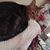 Jaime Coate's profile image