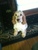 Darryl B.'s profile image