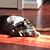Elizabeth Kasper Riley's profile image