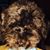 Brian Phillips's profile image