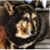 Jennifer Brantley's profile image