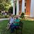 Kathie Beckwith's profile image
