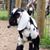 Joan Johnnie Waller's profile image